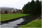 Description: MHS Rain garden